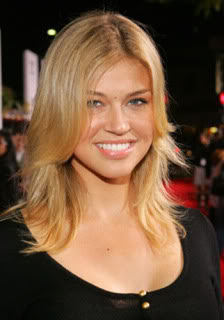 Adrianne Palicki New Formal Hairstyle Pictures