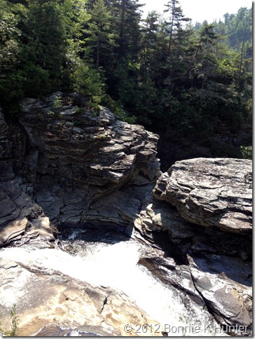 newland_NC 168