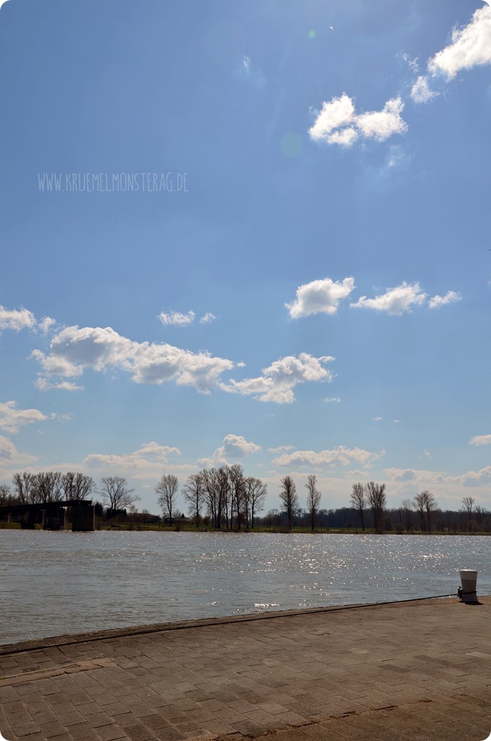 Ostersonntaghunderunde (01) am Rhein