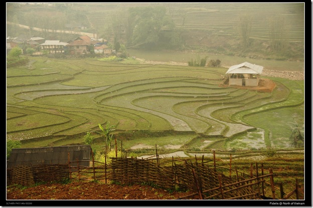 hanoi131