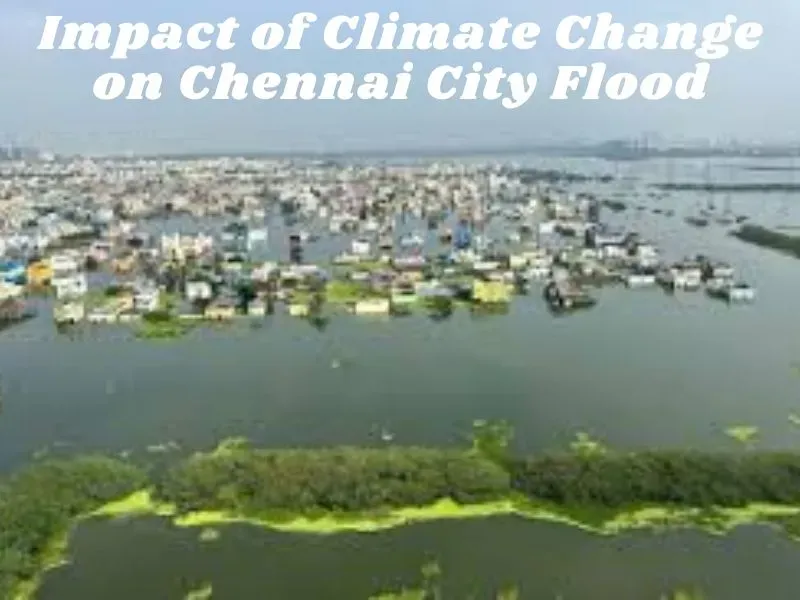 Chennai Flooding