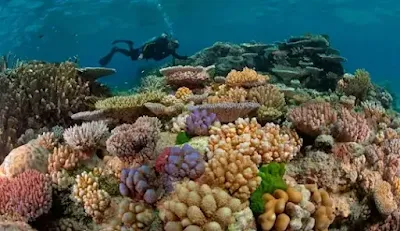 Top Ten Places to Visit in Australia: A Dream Vacation Guide