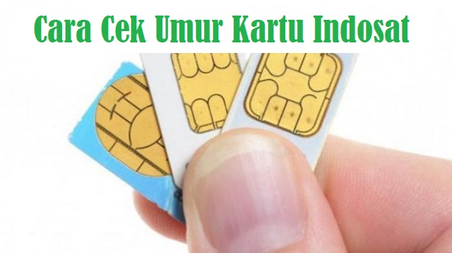 Cara Cek Umur Kartu Indosat