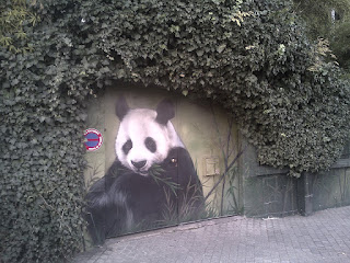 Portail Panda Puces Saint-Ouen maison Boc Paul-Bert