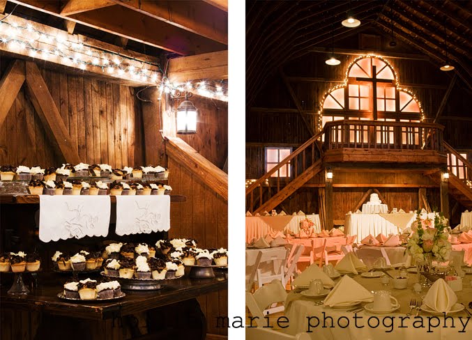  to adding birch branches lit with twinkle lights as room dividers 