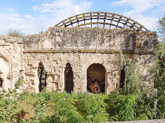 Antigua Noria. Córdoba