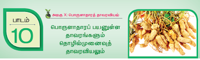 CLASS 12 BIOLOGY BOTANY - பாடம் 10 பொருளாதாரப் பயனுள்ள தாவரங்களும் தொழில்முனைவுத் தாவரவியலும் - 1 MARK QUESTIONS - ONLINE TEST