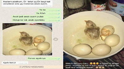 Telur bantuan menetas