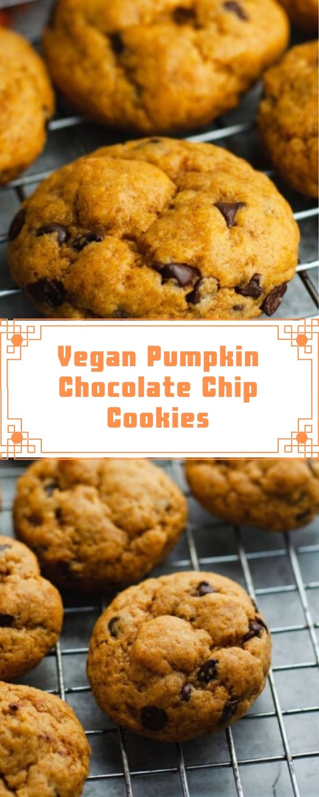 Vegan Pumpkin Chocolate Chip Cookies