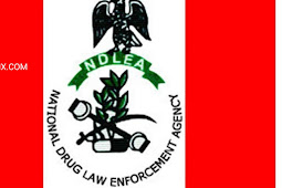BREAKING :NDLEA Recruitment 2023: Join WhatsApp Group For NDLEA Recruitment 2023 All States In Nigeria
