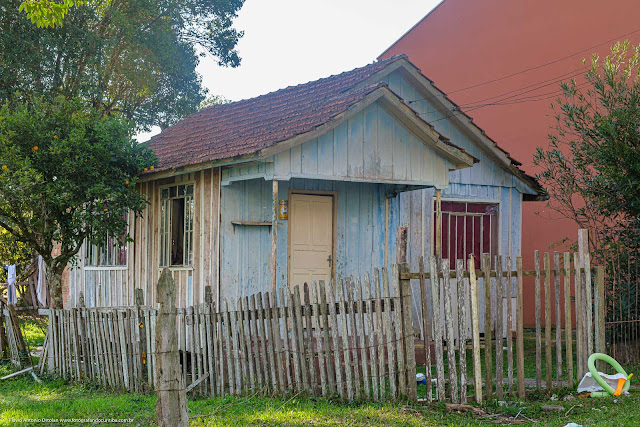 Casa de madeira com um pé de vergamota na lateral