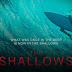 The Shallows Movie Review: Well Paced Survival Story Of One Woman Vs. Shark