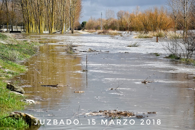 Juzbado, río Tormes, crecida, marzo 2018