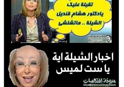 اخبار الشيلة اية يا ست لميس