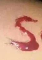 হাত কাটা পিক ছেলেদের ও মেয়েদের