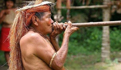 Tsimane, Suku Amazon yang Memiliki Arteri Tersehat di Dunia