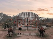 19+ Taman Bunga Nusantara Sudah Buka Apa Belum, Info Terkini!