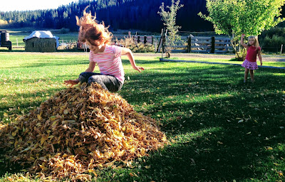 Leaves in the Fall can be Used for Mulch