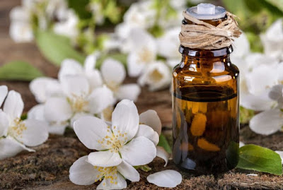 Merawat Rambut Indah dengan Minyak Jasmine