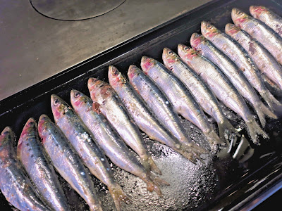 sardines, plancha