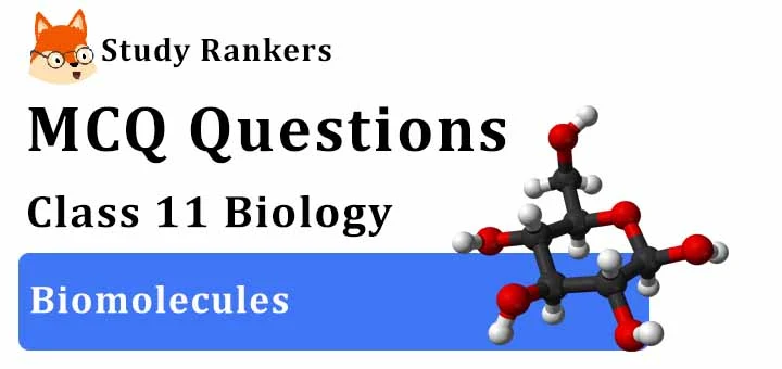 MCQ Questions for Class 11 Biology: Ch 9 Biomolecules