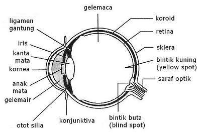 SAINS TINGKATAN 2: NOTA SAINS TINGKATAN 2{BAB1 -DUNIA 