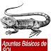 APUNTES BASICOS DE SQL