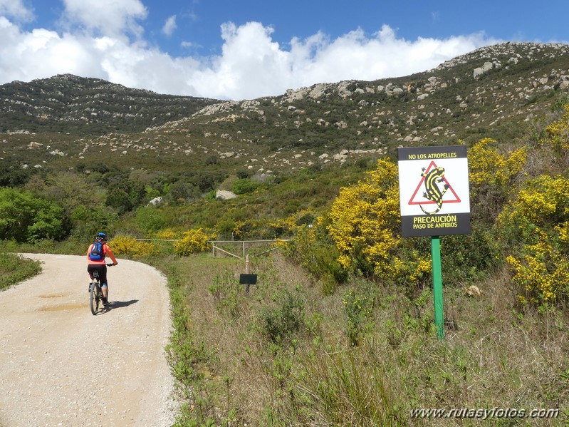 Carril Cicloturista Camino de Ojén