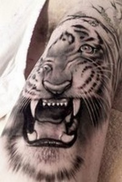 Best Tiger Tattoos (Part 2) | Tattoo Designs Picture Gallery