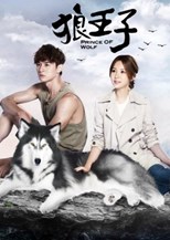 Drama Taiwan Prince of Wolf (2016) Subtitle Indonesia