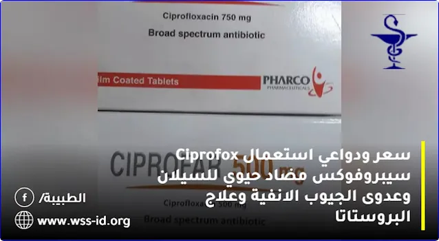 سعر ودواعي استعمال Ciprofox سيبروفوكس مضاد حيوي للسيلان وعدوى الجيوب الانفية وعلاج البروستاتا