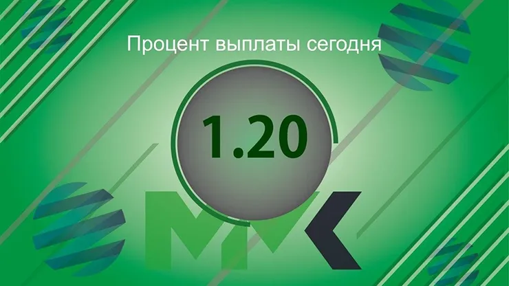 Отчет от MMK Investment