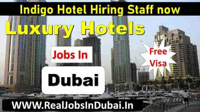 hotel indigo careers dubai jobs