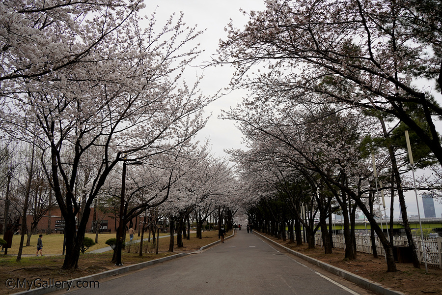 Sunyudo Park