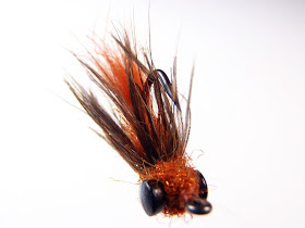 Austin Anderson carp fly