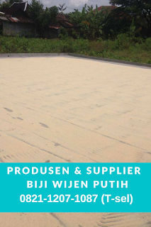 Harga  Wijen Putih 2014, Harga  Wijen Putih 2015, Harga  Wijen Putih 2016, Harga  Wijen Putih 2017, Impor  Wijen, Importir  Wijen , Importir  Wijen Surabaya, Jenis  Wijen Putih, Jual  Wijen Putih, Jual Biji Wijen Jakarta