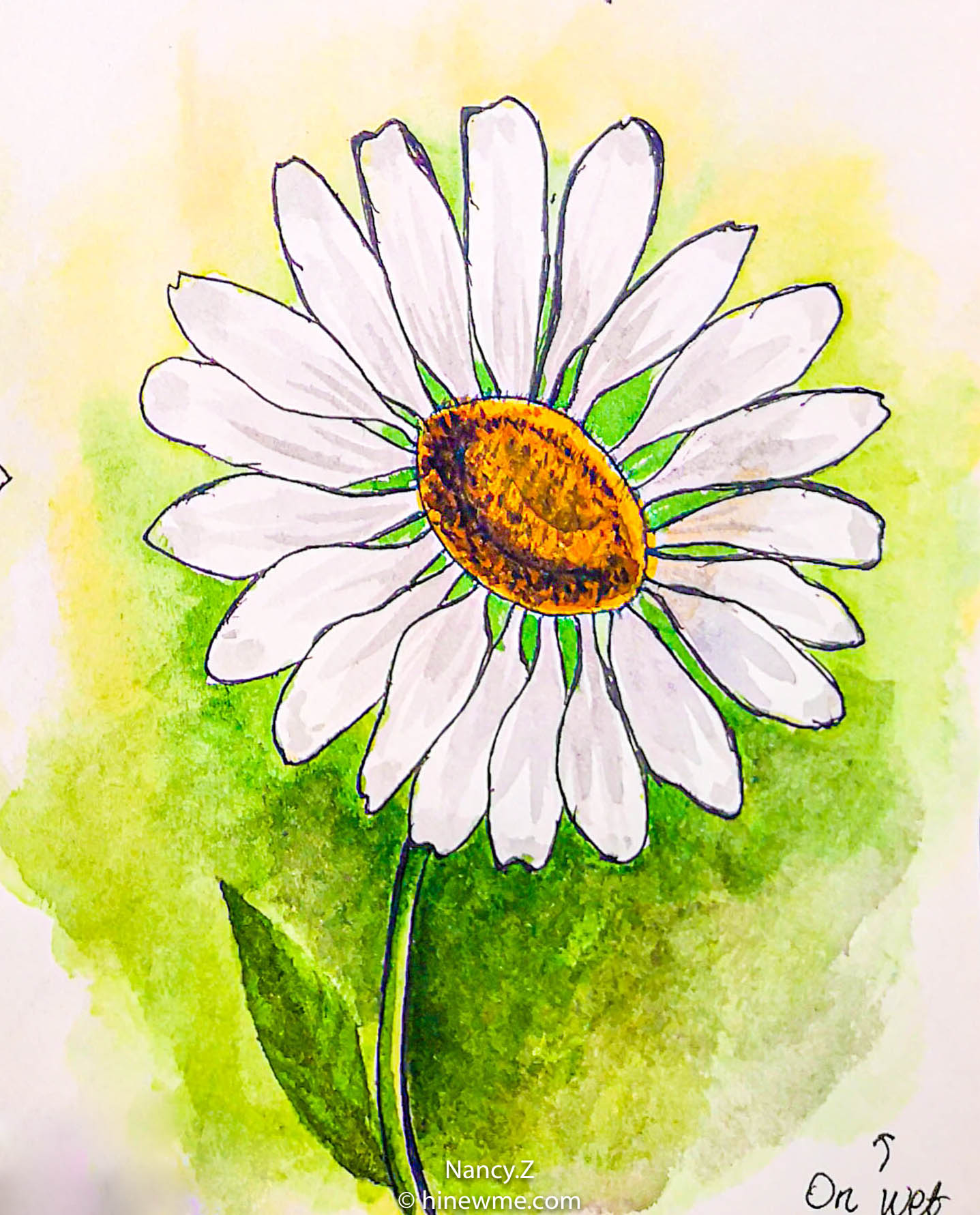 How to draw a watercolor daisy flower tutorial step by step easy for beginner