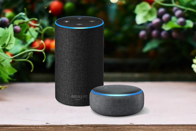 5 ways Amazon Echo can help you stay healthy