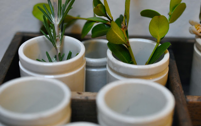 petits pots à pharmacie