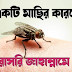 দরসে হাদিসঃ একটি মাছির কারণে জান্নাতে অথবা জাহান্নামে!