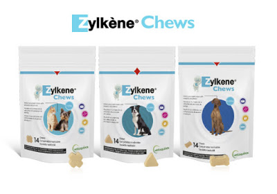  Zylkene Chews