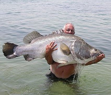 big fish catch