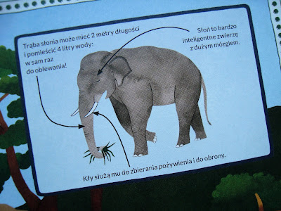 atlas przygód zwierząt, książka z ilustracjami o zwierzętach, książka dla dzieci