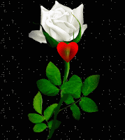 Znalezione obrazy dla zapytania gify ruchome róże białe