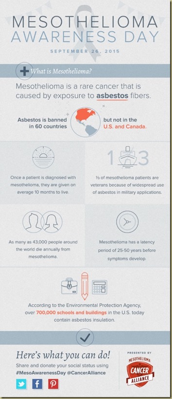 Mesothelioma Awareness Day Fact Sheet - Thoughts in Progress