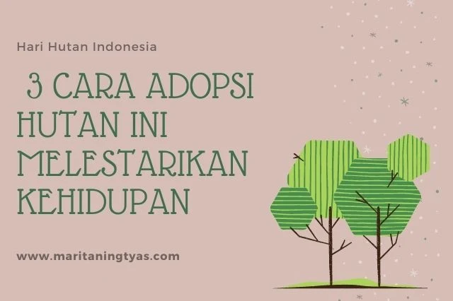 3 cara adopsi hutan untuk melestarikan kehidupan