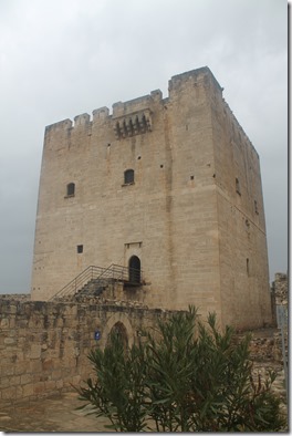 IMG_3406 IMG_3406