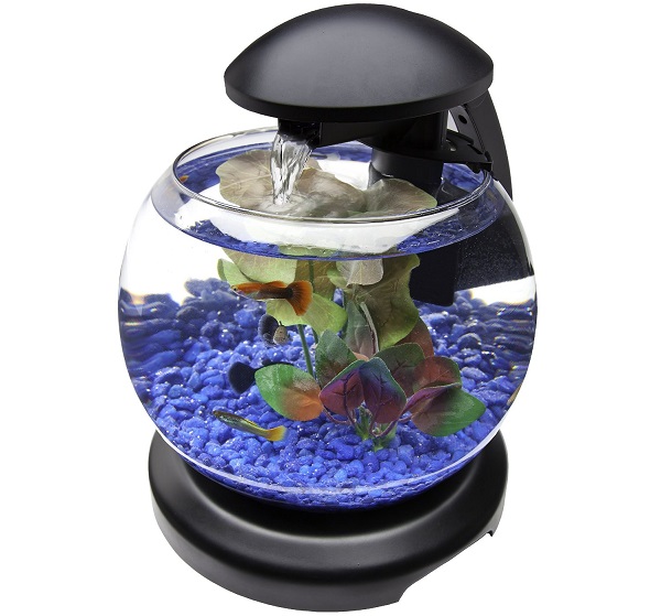 Model dan Harga Aquarium  Mini  Cara Budidaya Ikan