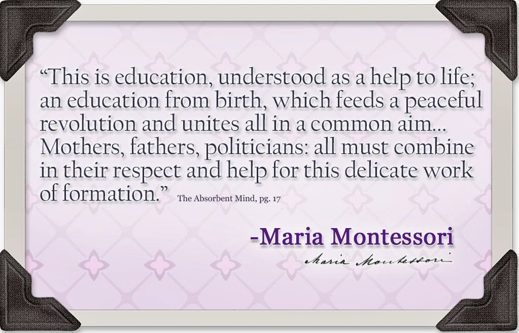 NAMC studying the works of montessori absorbent mind education for life quote