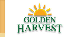 Golden Harvest Industries Ltd 